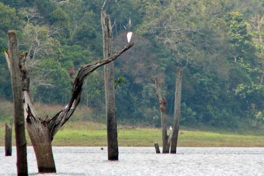 Thekkady